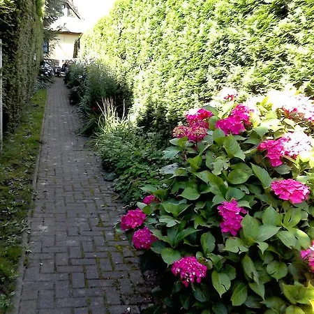 Otto Apartament