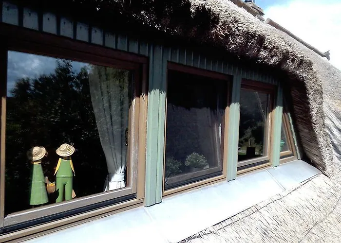 Otto アパート Rappin